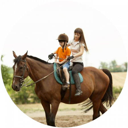 Inicio - Bienestar Animal Ecuador