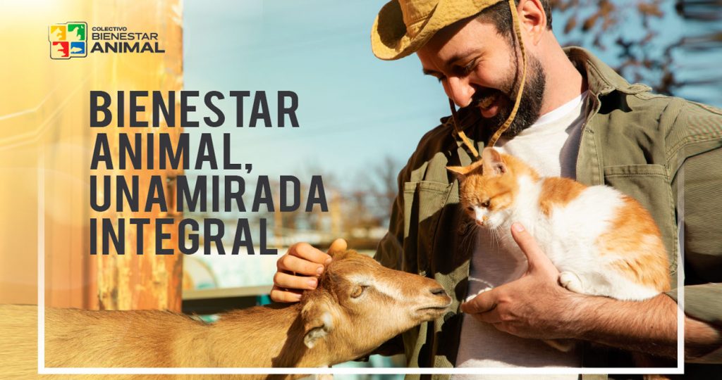 Bienestar animal, una mirada integral Bienestar animal, una mirada integral