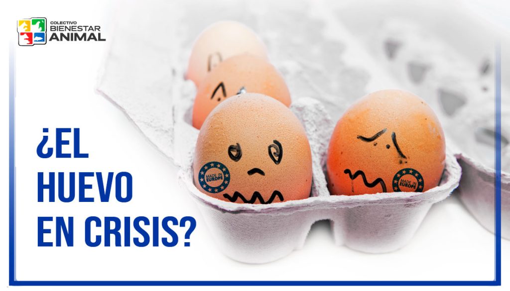 ¿El huevo en crisis?