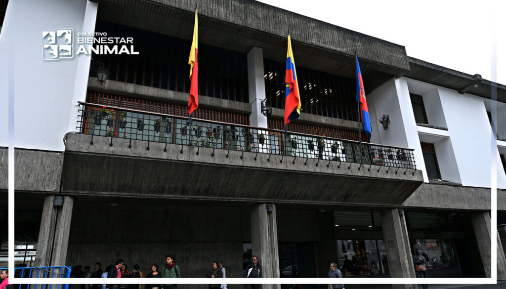 Crónica de una ordenanza mal hecha – Parte 1