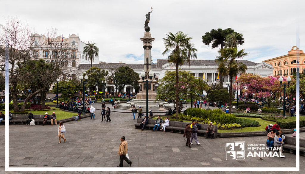 Crónica de una ordenanza mal hecha 2