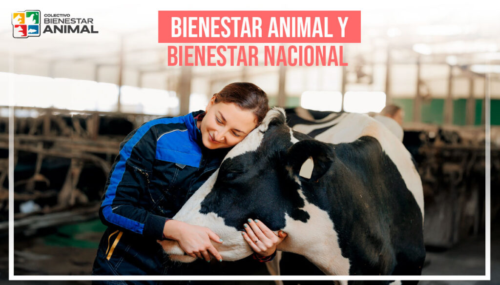 buenas prácticas y producción sostenible BIENESTAR ANIMAL