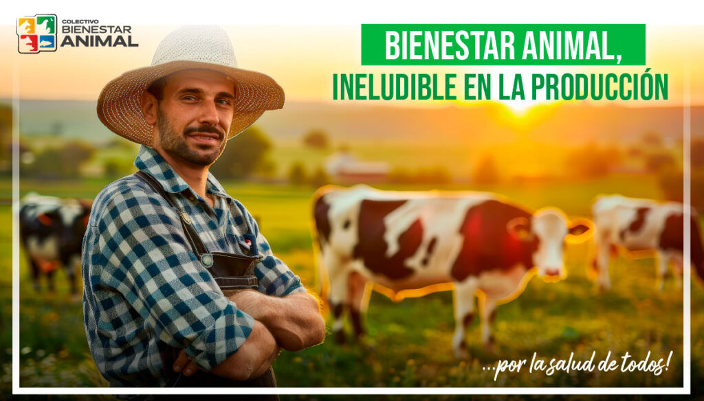 Bienestar Animal, ineludible en la producción Bienestar Animal