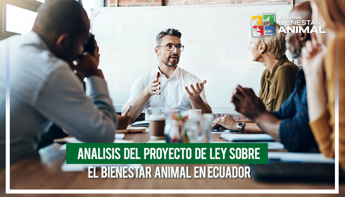 El reciente proyecto de ley presentado por la Defensoría del Pueblo para el análisis en la Asamblea Nacional de Ecuador, destinado a proteger el bienestar de los animales no humanos