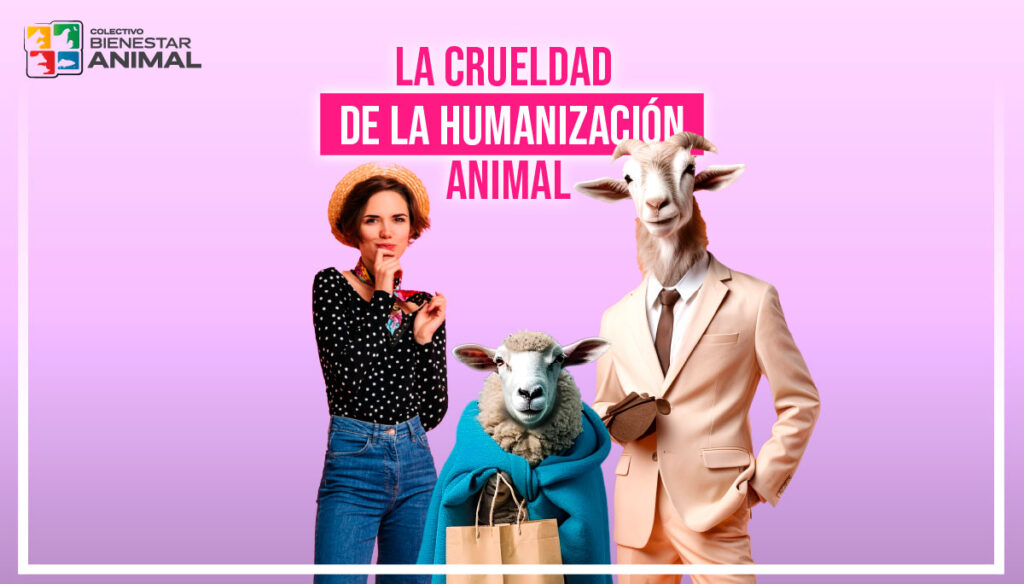 ¿Una ley inocente? Una ley inocente