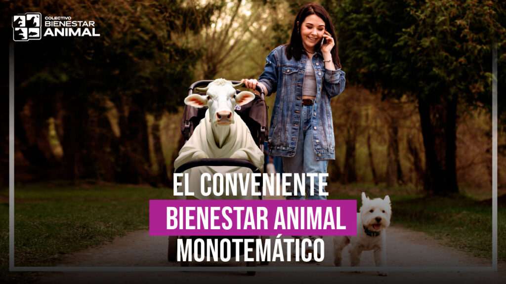 Bienestar Animal monotemático