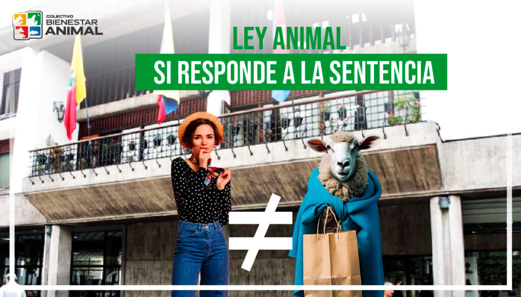 Ley Animal sí responde a la sentencia - Bienestar Animal