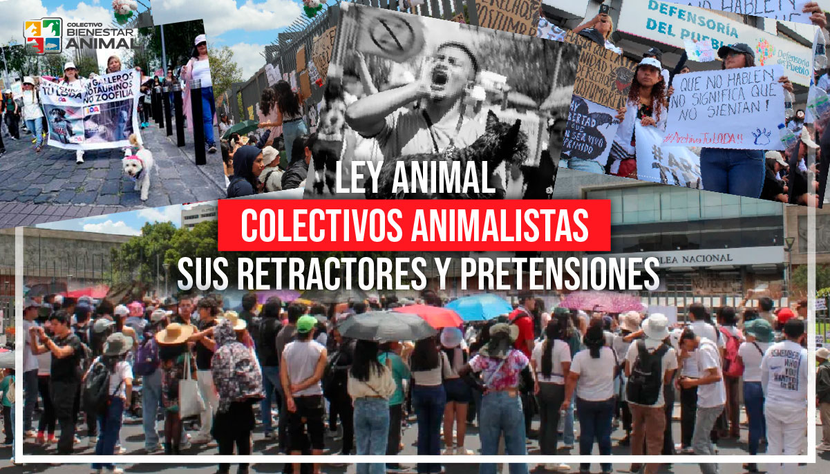 Ley Animal: sus retractores y pretensiones